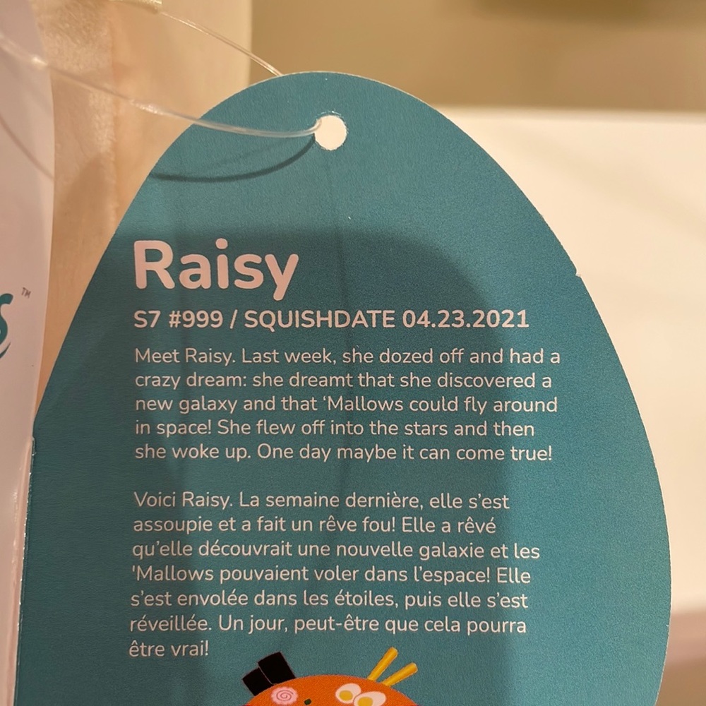 NWT 7” Raisy the Ramen Squishmallow - Picture 4 of 4